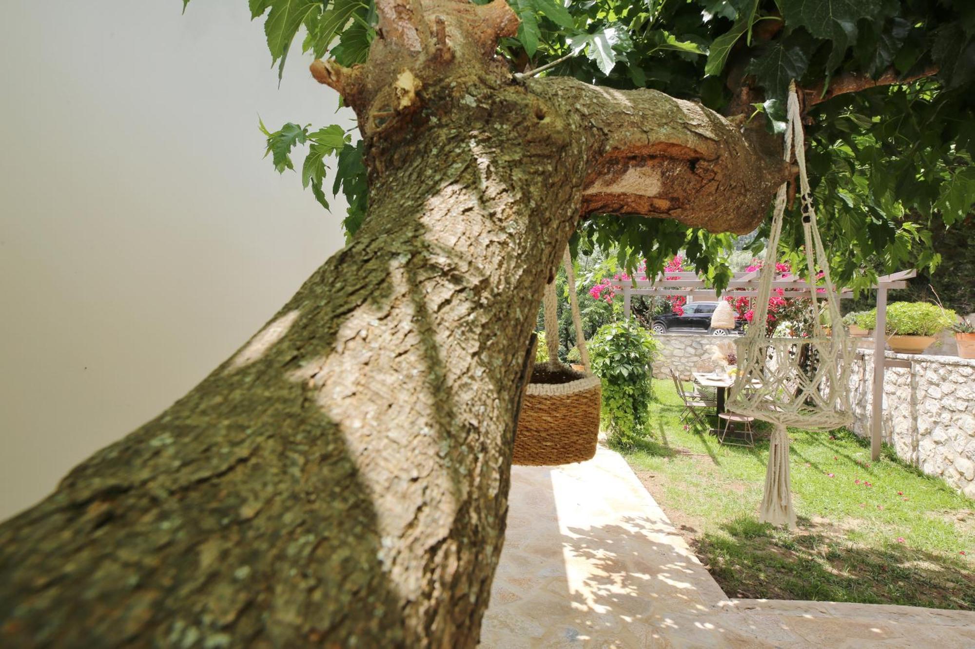 Kores Villas นีดรี ภายนอก รูปภาพ